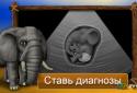 Клиника для животных - Африка screenshot 1