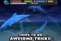 Dolphin Simulator screenshot 13