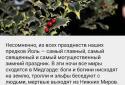 Какой сегодня праздник? / Holiday Today screenshot 6