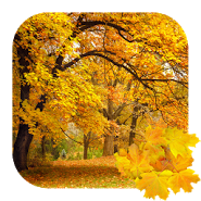 Прекрасная осень Живые обои / Beautiful Autumn