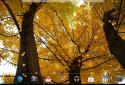 Прекрасная осень Живые обои / Beautiful Autumn screenshot 12