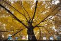 Прекрасная осень Живые обои / Beautiful Autumn screenshot 15
