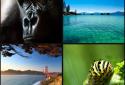 Muzei Live Wallpaper screenshot 5
