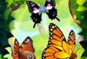 Flutter screenshot 2