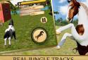 Wild Horse Simulator- 3D Run screenshot 11