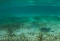 Lagoon Waves Live Wallpaper 4 screenshot 6