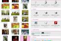 Media File Manager screenshot 1