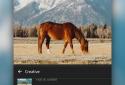 Adobe Lightroom screenshot 4