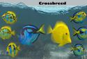 Fish Farm 2 screenshot 4