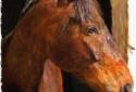 Artista Impresso screenshot 8