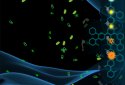 Vitalion Bacteria Evolution screenshot 3