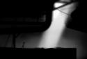 LIMBO screenshot 5