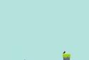 Spring Ninja screenshot 14