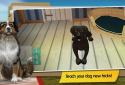 DogHotel - Мой отель для собак screenshot 3