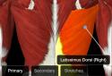 iMuscle 2 screenshot 2