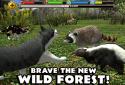 Stray Cat Simulator screenshot 13