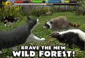 Stray Cat Simulator screenshot 4