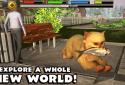 Stray Cat Simulator screenshot 5