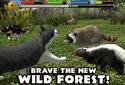 Stray Cat Simulator screenshot 9