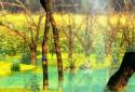Ducks 3D Live Wallpaper FULL screenshot 11