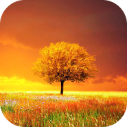 Awesome Land Pro