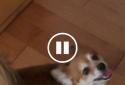 AllCast premium screenshot 3
