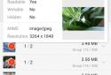 Поиск Одинаковых Файлов(Супер) screenshot 5