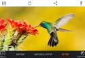 HDR FX Photo Editor screenshot 2