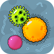 Bacteria World: Agar