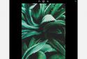 EyeEm - Photo Filter Camera screenshot 16