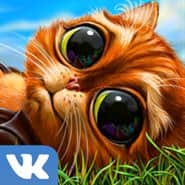 Инди Кот