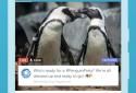 Periscope screenshot 3