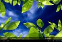 Fresh Leaves screenshot 10