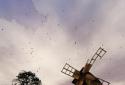 Old Windmill - Live Wallpaper screenshot 4