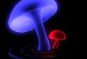 VA Magic Mushrooms 3D screenshot 2