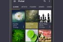 Pulsar Музыкальный плеер screenshot 1