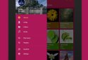 Pulsar Музыкальный плеер screenshot 10