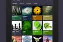 Pulsar Музыкальный плеер screenshot 9