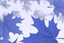 3D Maple Leaves screenshot 3