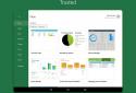 Microsoft Excel screenshot 12