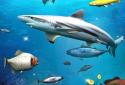 Fishing Fishing: Set The Hook! screenshot 5