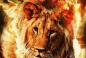 Fire Lion Live Wallpaper screenshot 2