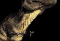 Dino T-Rex 3D Live Wallpaper screenshot 10