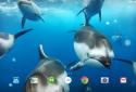 Ocean 3D Dolphin Live Wall screenshot 7