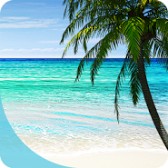 Perfect Beach VR
