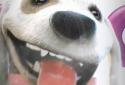 Puppy Licks Screen Animation screenshot 6