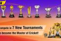 World Cricket Championship 2 screenshot 10