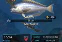 Fishing Hook screenshot 4
