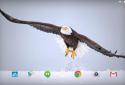 Winter Life Animals Live WP screenshot 6