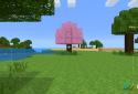Exploration screenshot 1